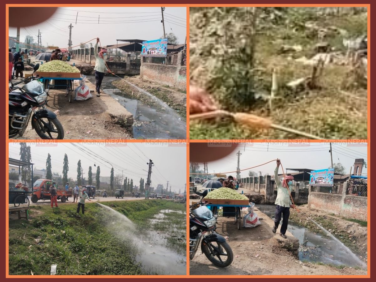 लामखुट्टेको प्रकोप नियन्त्रण गर्न वीरगञ्ज महानगरको ‘पम्प स्प्रे’ अभियान सुरु