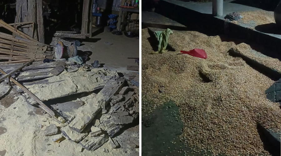 ठोरीमा जंगली हात्तीको आतंक, हजुरआमा–नातिनी घाइते