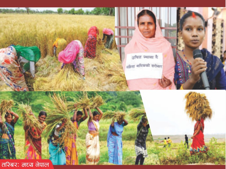 पारिश्रमिक कार्यविधिले ल्याएको खुशी