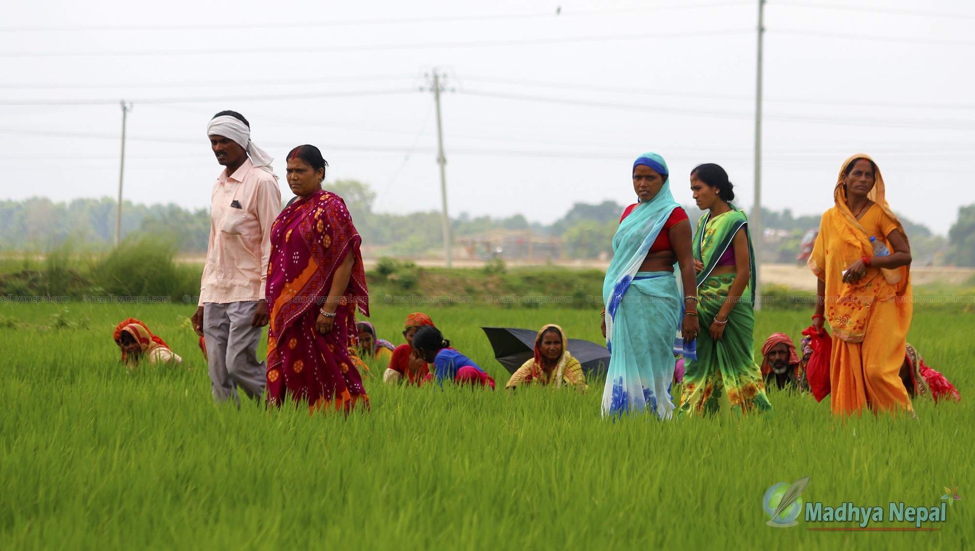 कृषि प्रवर्द्धनका लागि शुक्रबार पनि सार्वजनिक बिदा दिने श्रीलंकाको निर्णय
