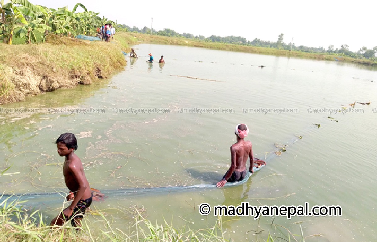 माछा निर्यातमा बारा