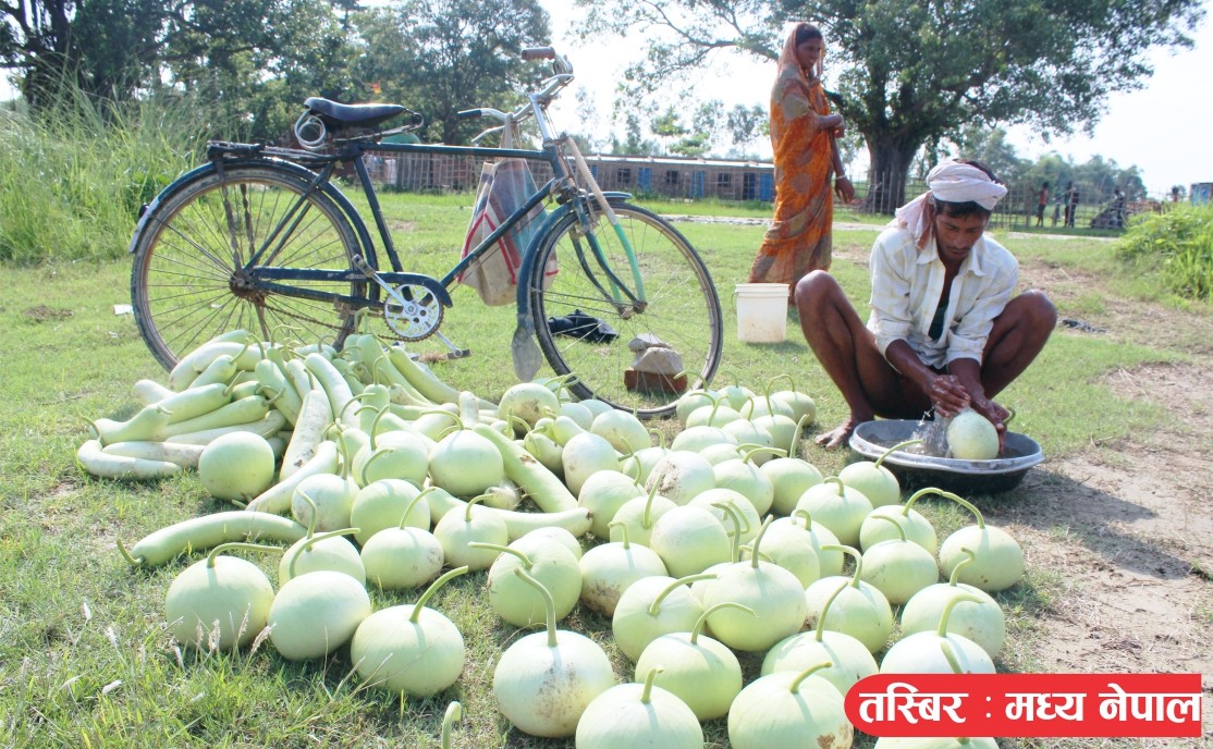 कृषकलाई कर्जा उलव्ध गराउन पाँच खर्ब बराबरको लघुवित्त कोष स्थापना गरिने