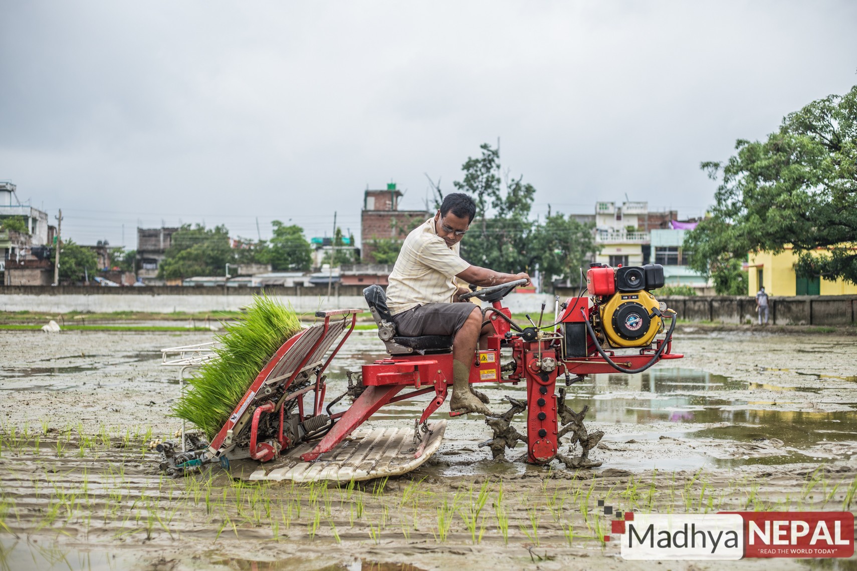 पर्सामा ५० प्रतिशत भन्दाबढि धान रोपाई सम्पन्न, कोरोना प्रभावले मेशिनले धान रोपाई दिवस मनाईयो