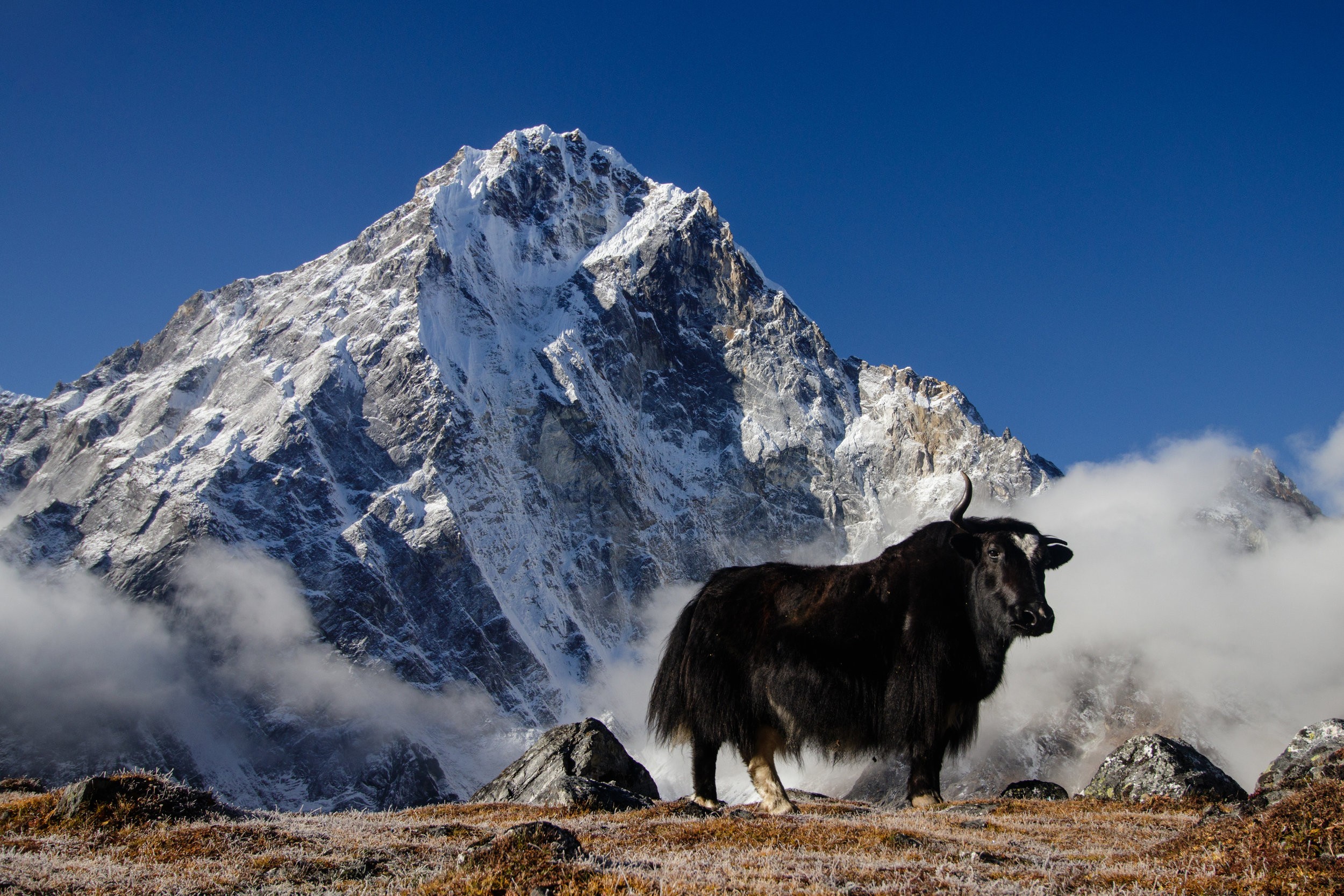 विश्वको सर्वोच्च शिखर सगरमाथाको उचाइ ८६ सेन्टिमिटर बढ्यो