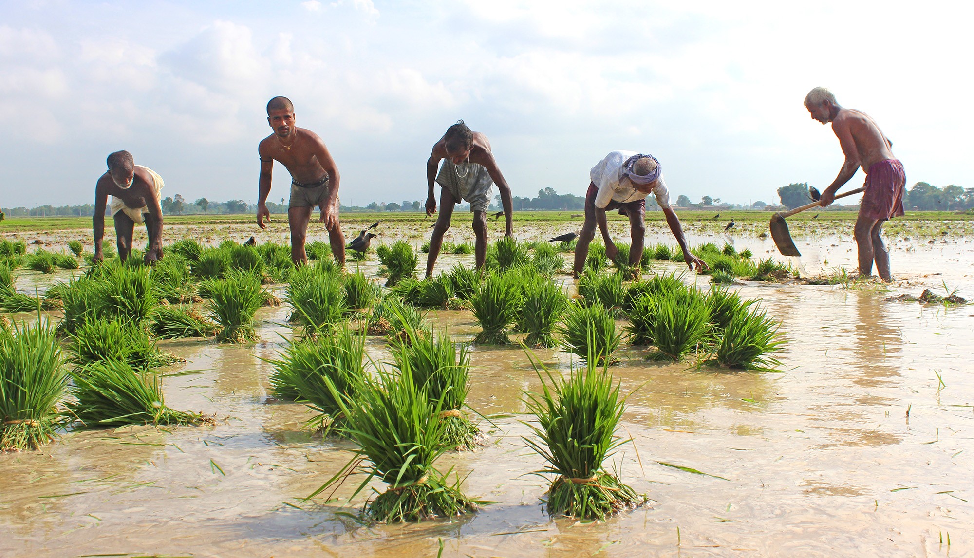 अब किसानले पनि पेन्सन पाउने