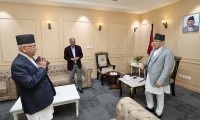 २८ राजनीतिककर्मीले पार्टी नेतृत्वलाई चेतावनी, दोस्रो–तेस्रो तहका नेताहरूलाई सक्रिय हुन आह्वान