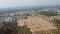 मधेसमै सबैभन्दा धेरै धान रोपाइँ बाँकी, २२ प्रतिशत खेत अझै रोप्न बाँकी