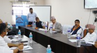 मधेशमा डिप बोरिङ सञ्चालनका लागि विद्युत् पहुँच छिटो पुर्‍याउन प्राधिकरणको निर्देशन
