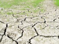 सुक्दै गएको मधेशः आकाशतिर किसान, भाषणतिर सरकार 