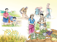 कृषिमा आत्मनिर्भरताः समृद्ध अर्थतन्त्रको आधार