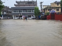 २४ घण्टामा रौतहटमा ३५८ मि.मि. वर्षा, नदी सतर्कता जारी
