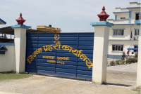 वन हेरालुको विभत्स हत्या : सर्लाहीमा जंगलभित्र टाउको फेला