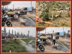 लामखुट्टेको प्रकोप नियन्त्रण गर्न वीरगञ्ज महानगरको ‘पम्प स्प्रे’ अभियान सुरु