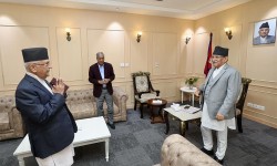 २८ राजनीतिककर्मीले पार्टी नेतृत्वलाई चेतावनी, दोस्रो–तेस्रो तहका नेताहरूलाई सक्रिय हुन आह्वान