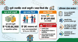 समस्याग्रस्त सहकारीबाट ५९ लाख बचत फिर्ता, १ करोड २० लाख कर्जा असुली