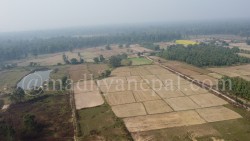 मधेशमै सबैभन्दा बढी खेतीयोग्य जमिन बाँझो, ८५ हजार हेक्टरमा रोपाइँ हुन सकेन