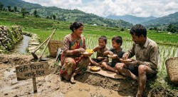 दही–चिउरा खाने दिन : असार १५ को सांस्कृतिक पहिचान