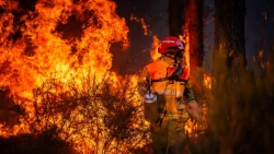 फ्रान्समा दोस्रो विश्वयुद्धयताकै भीषण डढेलो, ‘आगो कसले लगायो?’ बहस चर्कियो