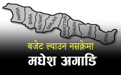 बजेट ल्याउन नसक्ने स्थानीय तहमध्ये मधेश प्रदेश सबैभन्दा कमजोर, १० नगरपालिका म्याद गुजार्दै