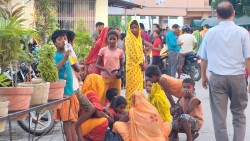 महोत्तरीमा विद्यालयको खाजामा मरेको छेपारो, सयौँ विद्यार्थी बिरामी