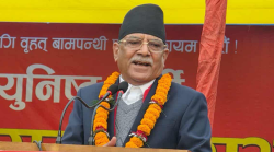 प्रचण्डको स्पष्ट संदेश: “तोकिनै मितिमा २१ फागुनमा चुनाव हुनुपर्छ”