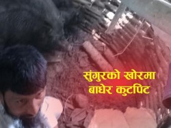 सुंगुरको खोरमा थुनेर कुटपिट : सर्लाहीमा गरगहना विवादले भयावह रूप लिँदा ६ जना पक्राउ