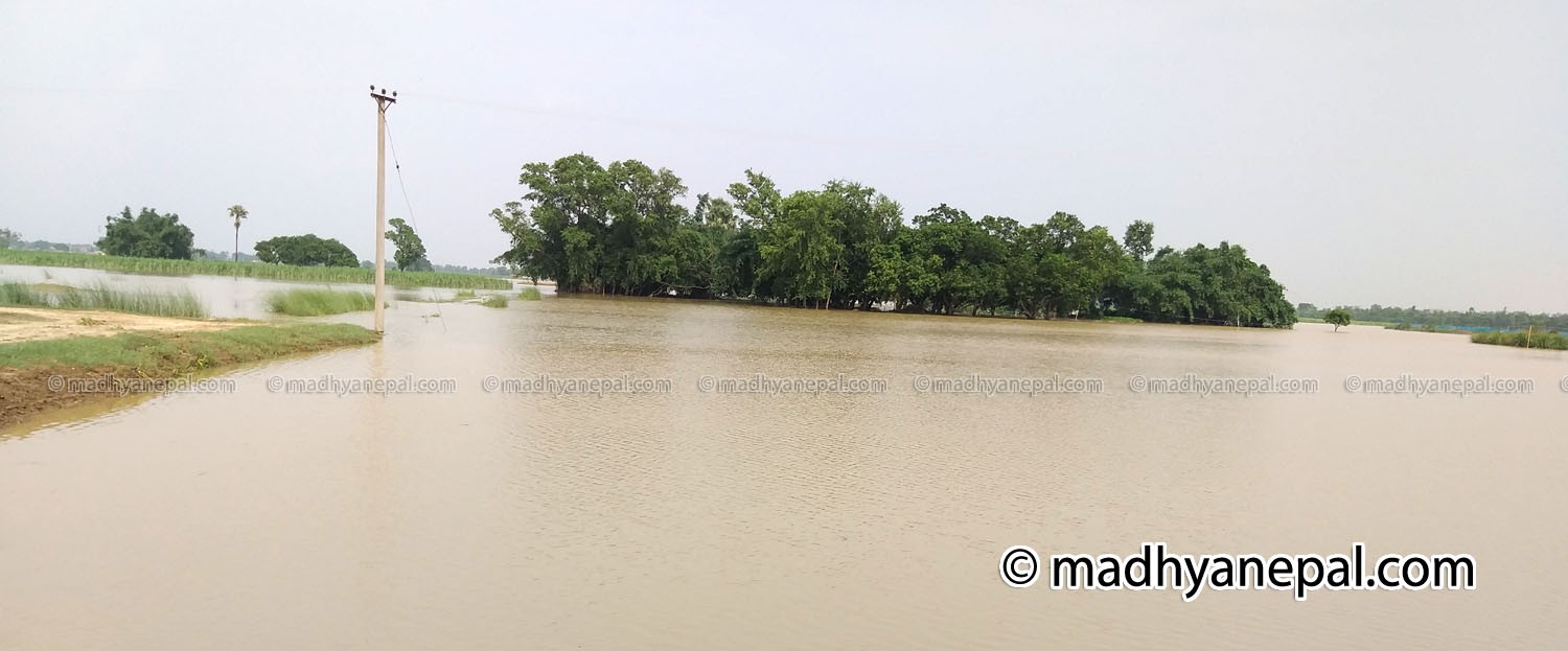 पानी परेसँगै शीतल बन्यो तराई