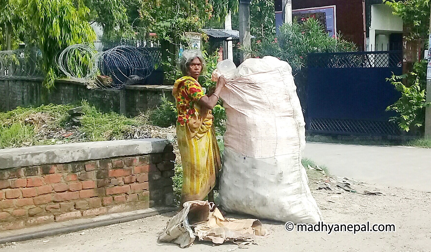 फोहोर संकलन गरि मोहोर कमाउदै ७० वर्षिय बृद्व