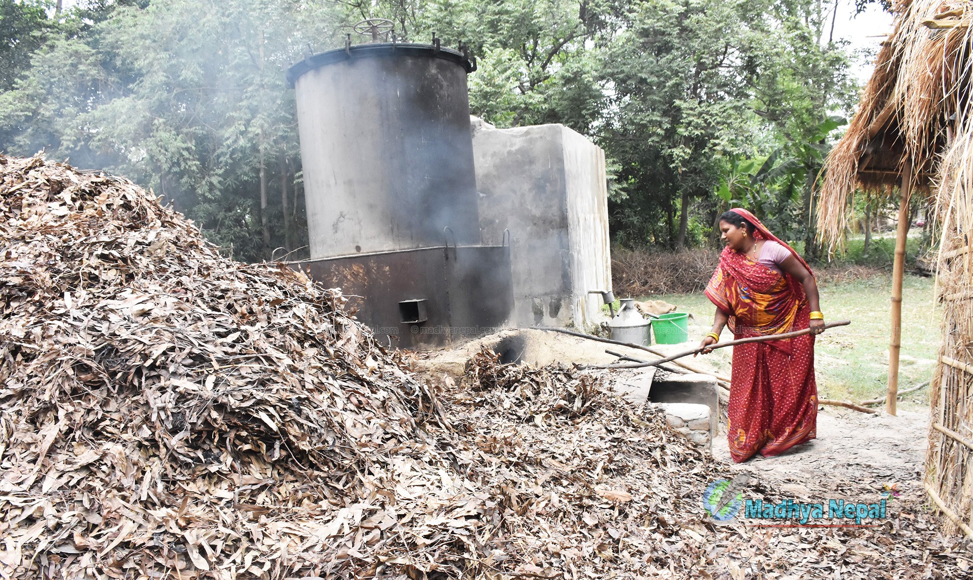 फेकनी देवीलाई बनस्पति उद्यमले दिलायो सम्मान