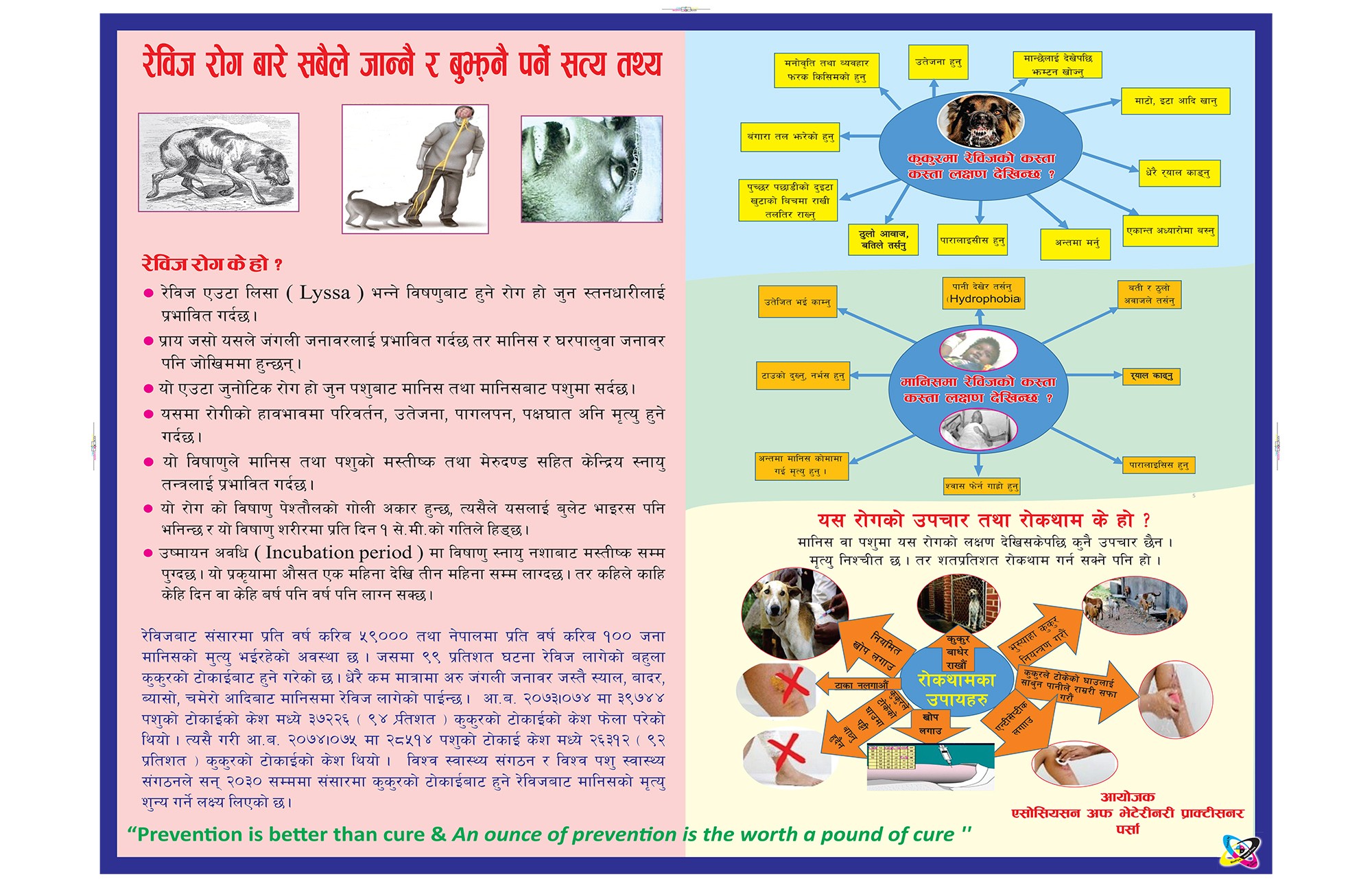 रेबीज : कुकुर देखि सावधान, रेवीज बारे थाहा पाई राखौँ