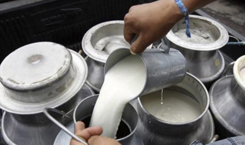 दूध बिक्रीमा किसानलाई ७९ लाख अनुदान वितरण