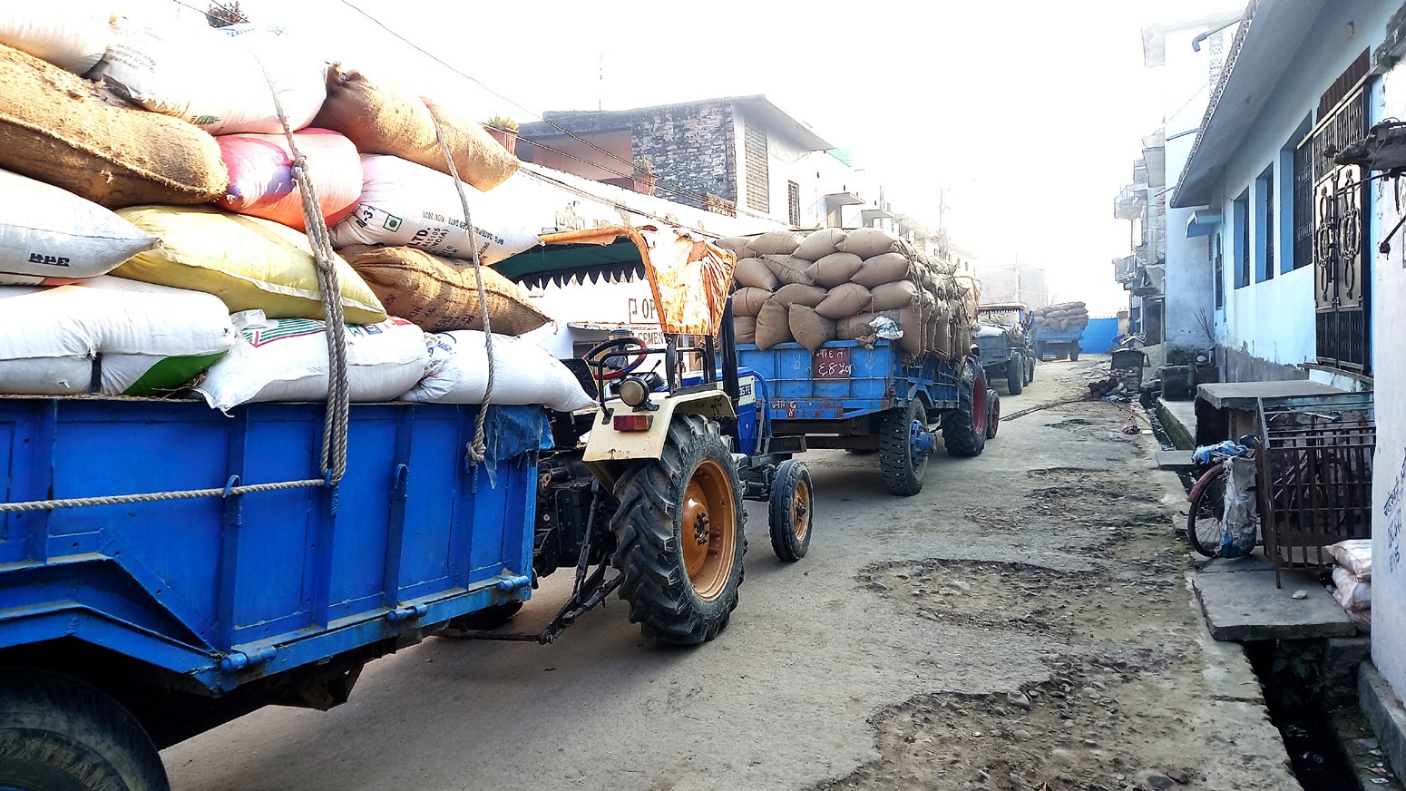 क्षेत्रफल बढे पनि उत्पादन खासै बढेन, धान खरिदका लागी सरकारी सम्यन्त्रको सुस्त गति