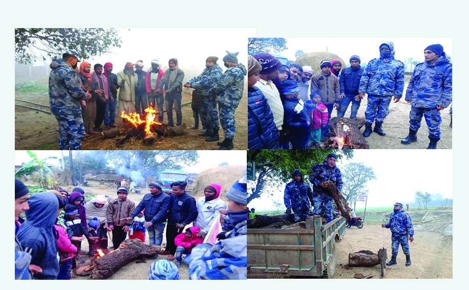 जाडोबाट बचाउन दाउरा वितरण गर्दै सशस्त्र प्रहरी