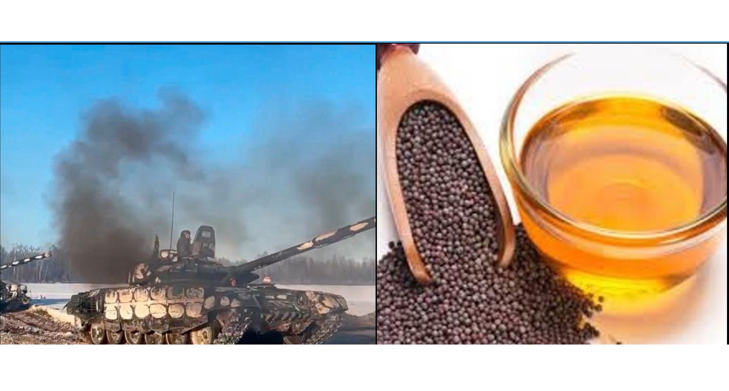 युक्रेन संकटले नेपालमा असर, खाने तेलको कच्चा पदार्थ अभाव