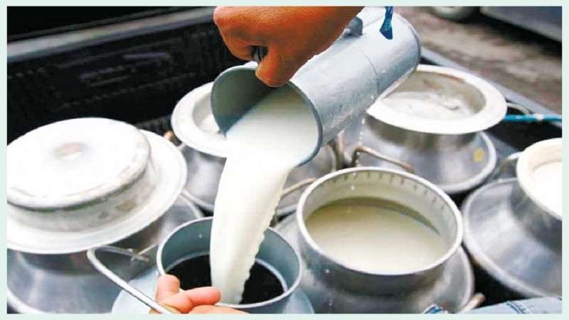 गोदाममा थन्कियो ७५ करोडको दूध र घ्यू