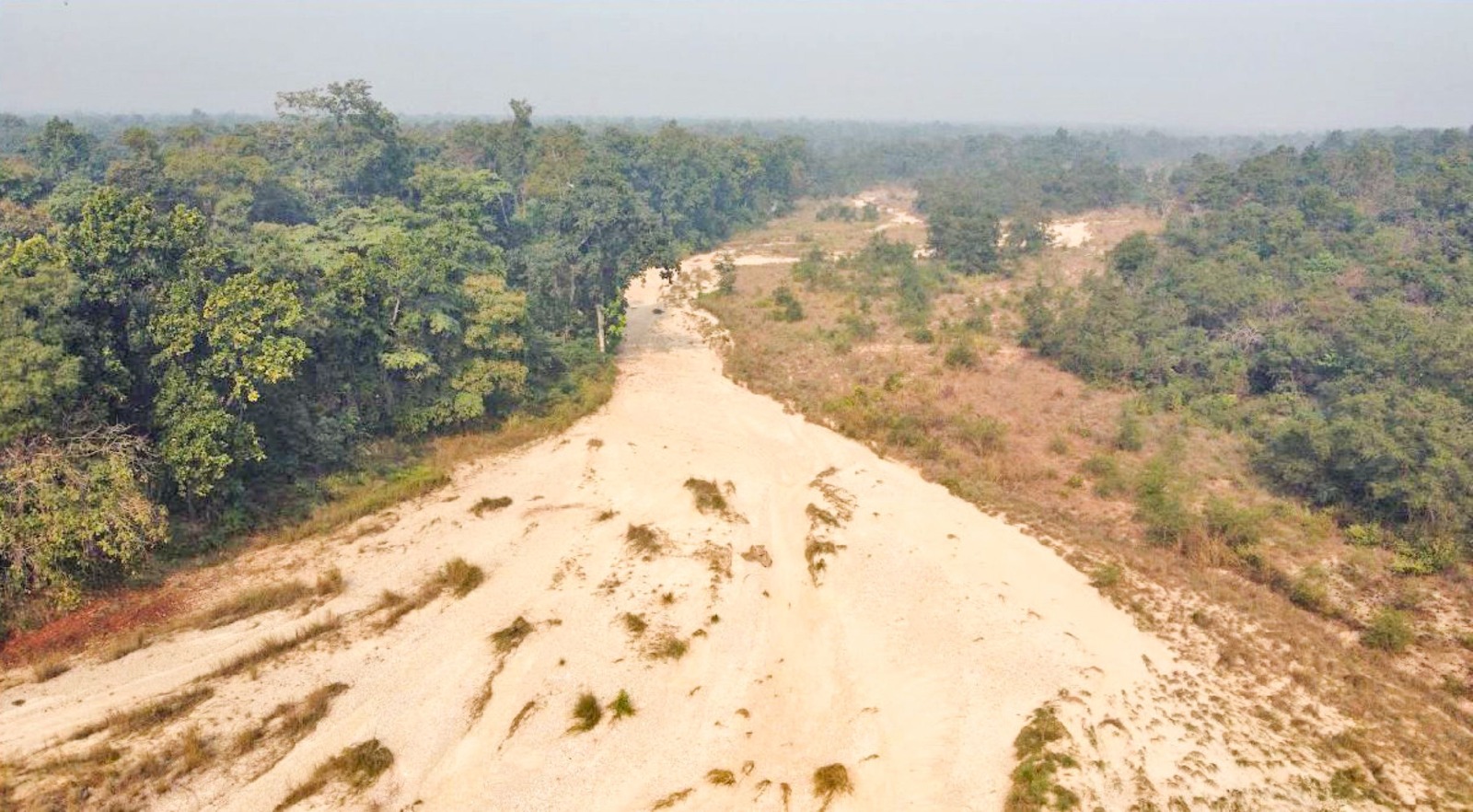 मधेशमा वन वातावरण कानून छन्, छैन कार्यान्वयन