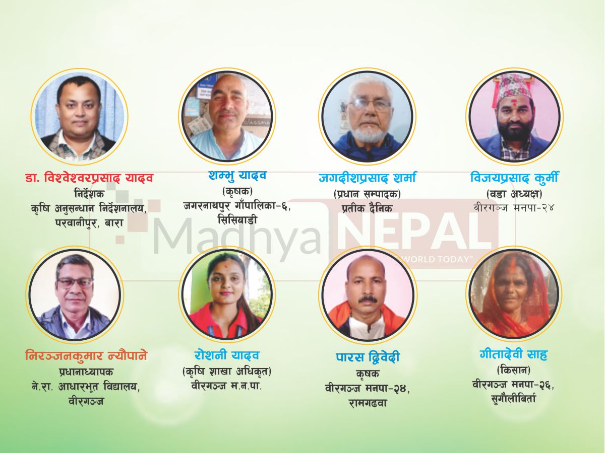 मौसमी चक्र परिवर्तनले मधेशको कृषि क्षेत्रमा कस्तो प्रभाव पारेको छ ? 