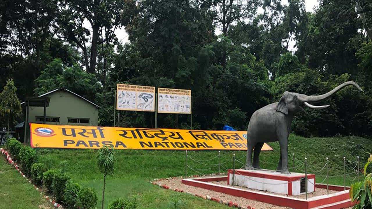 पर्सा राष्ट्रिय निकुञ्जमा पर्यटक आगमन वृद्धि