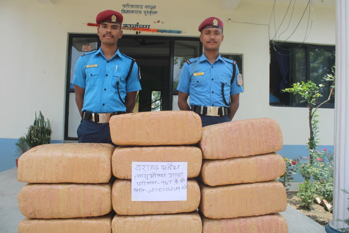   बाराको कोल्हवी स्थित एक घरबाट १६८ किलो अवैध लागू औषध गाँजा बरामद