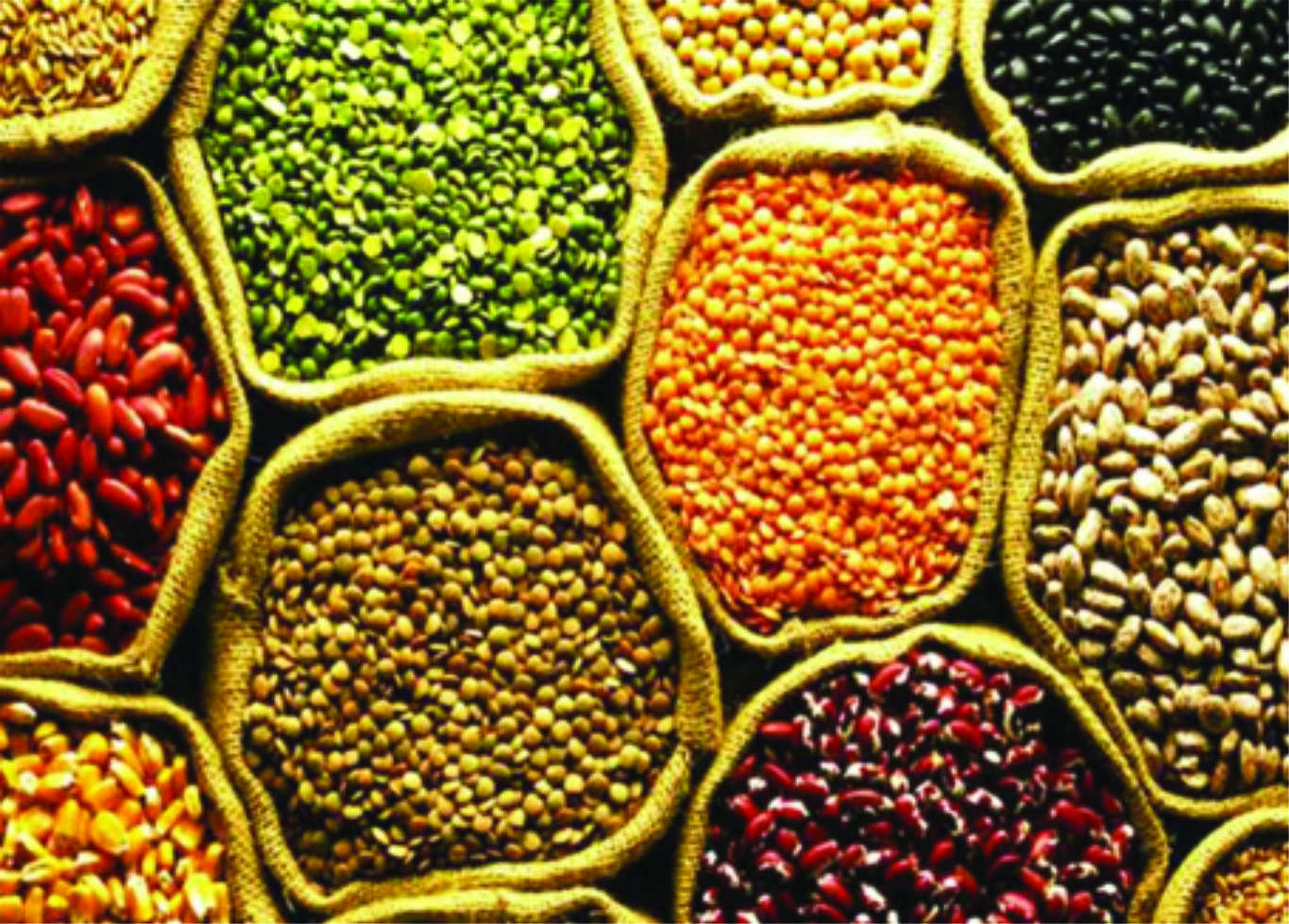 दालको कच्चा पदार्थमा महशुल घटाउन माग