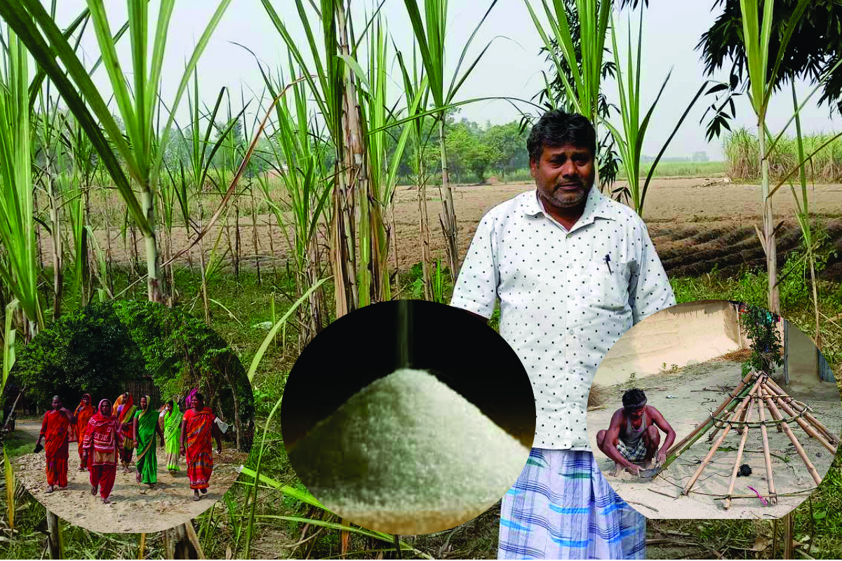 बजारमा चिनीको मुल्य आकाशिदाँ उखु किसान भने खेत बेचेर ऋण तिर्न बाध्य