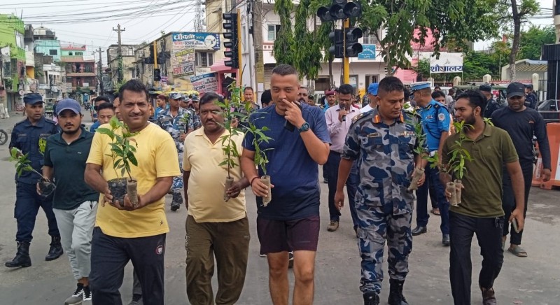 वीरगंजस्थित रेल्वे रोडमा विभिन्न प्रजातीका विरुवा रोपियो