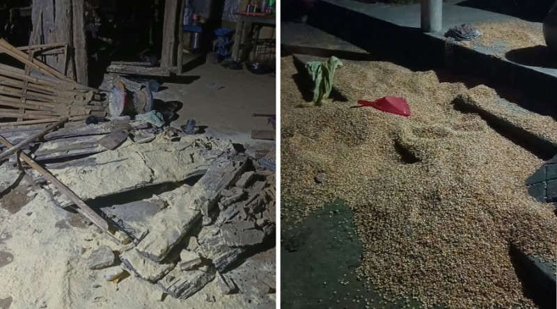 ठोरीमा जंगली हात्तीको आतंक, हजुरआमा–नातिनी घाइते