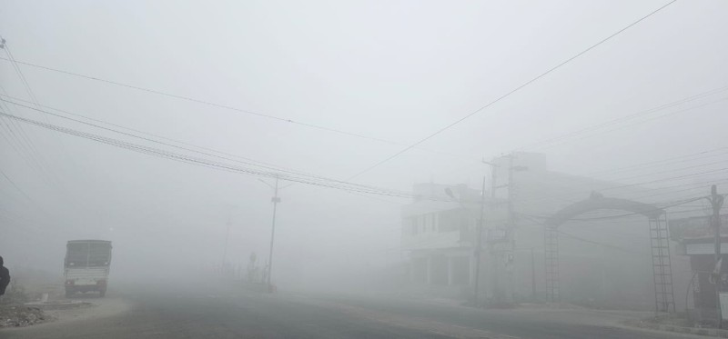 वीरगञ्जमा जाडोयामको कुहिरोः हावा भित्र्याउँछ स्वास्थ्य संकट