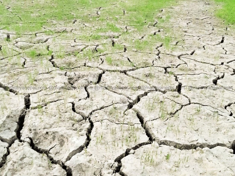 सुक्दै गएको मधेशः आकाशतिर किसान, भाषणतिर सरकार