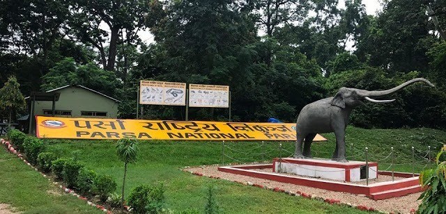 पर्सामा बढ्दै मानव–वन्यजन्तु द्वन्द्व 