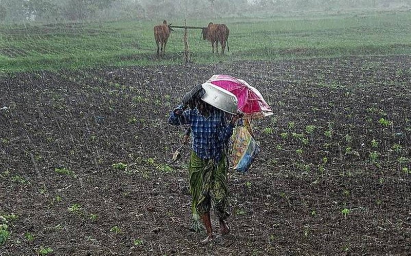 पानी परेपछि किसान खुसी