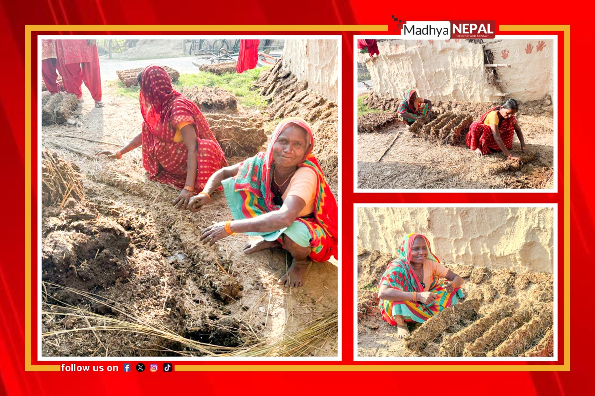 घरेलु श्रमः न पहिचान न सम्मान 