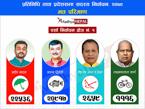 पर्सा प्रतिनिधि सभा सदस्य निर्वाचन क्षेत्र नम्बर १ मा जसपाका प्रदिप यादव विजय भएका छन्