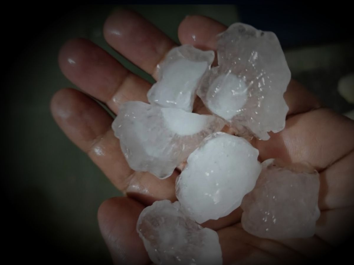 फेरि भीषण असिनापानी परे के गर्ने? ज्यान जोगाउन अपनाउनुहोस् यी सावधानी